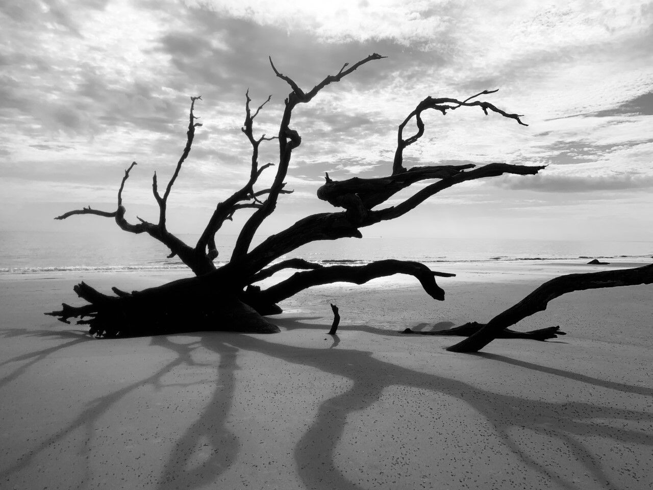 spooky moody.jpg
